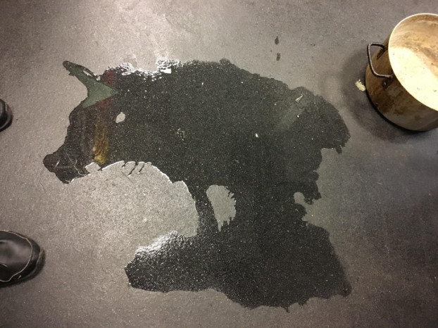 Tôi không biết vẽ lợn rừng, tôi chỉ vô tình làm đổ nước mà thôi