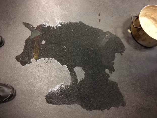 Tôi không biết vẽ lợn rừng, tôi chỉ vô tình làm đổ nước mà thôi