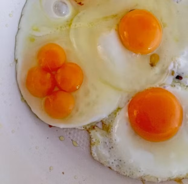 Một quả trứng sinh bốn? Có thể nó sẽ mang lại may mắn giống như cỏ bốn lá vậy