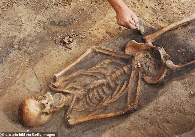 Nhiều hài cốt của nam giới trưởng thành có dấu vết tử vong do bị chém vào đầu bằng rìu.