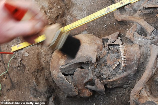 Bên dưới một bãi đậu xe ở thủ đô Berlin, Đức, các nhà khảo cổ khai quật được 3.700 bộ hài cốt. Theo nghiên cứu của các chuyên gia, gần 1/2 số hài cốt mới được phát hiện có niên đại từ năm 1047 - 1299.