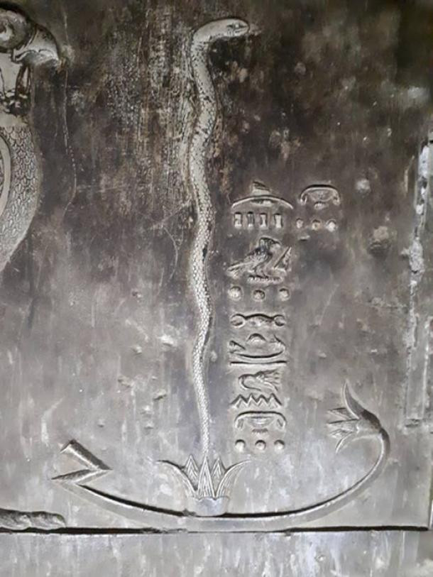 Đuôi rắn là chỗ dây điện từ hộp điện đi vào ống và đầu con rắn chạm vào điểm cuối phía đối diện.