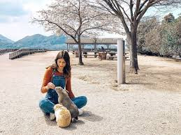 Biệt danh trên xuất phát từ việc trên đảo Okunoshima có hàng trăm con thỏ sinh sống.