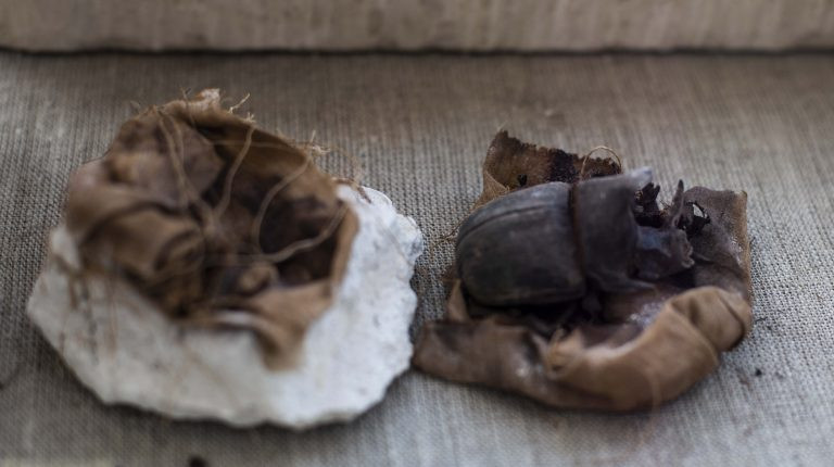 Số xác ướp tí hon này được bảo quản trong điều kiện rất tốt nên còn gần như nguyên vẹn.