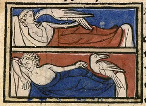 Theo các giai thoại, Caladrius có kích thước giống chim bồ câu. Toàn bộ lông có màu trắng xóa như tuyết.