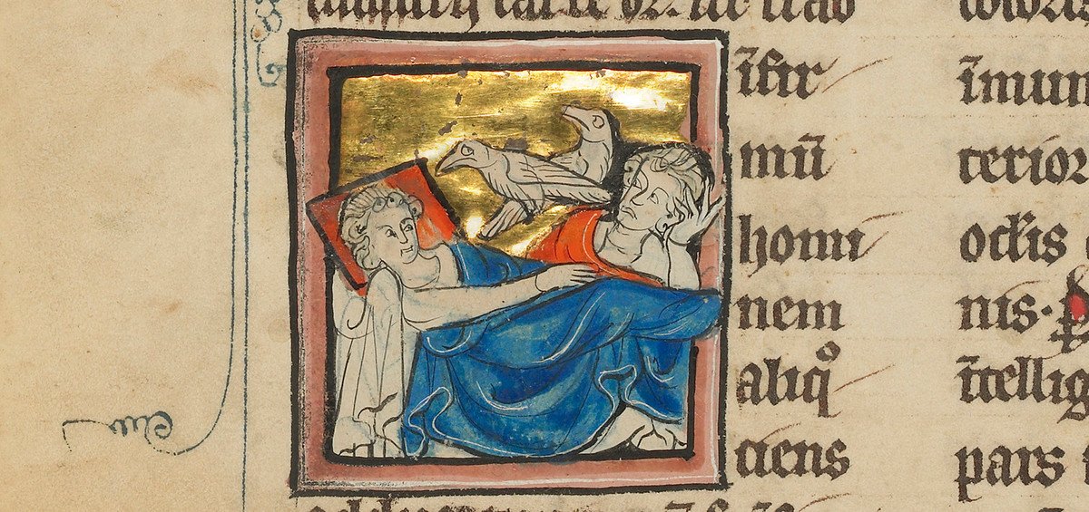 Ngược lại, nếu chim Caladrius không nhìn đối diện con người mà quay sang hương khác thì đây là điềm báo người đó sắp chết.