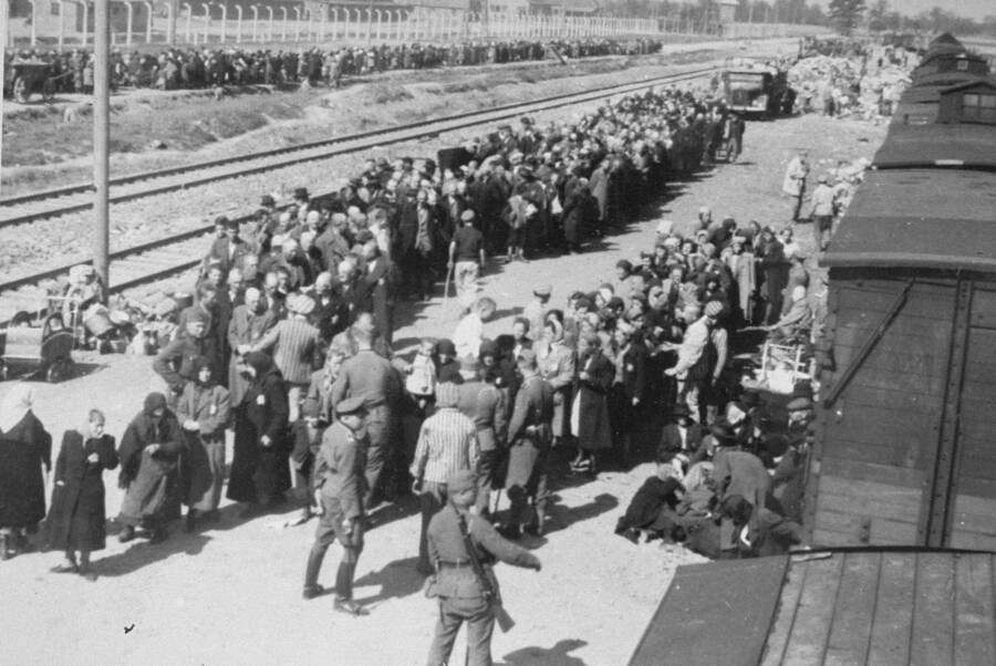 Lính canh Đức quốc xã phân loại tù nhân ngay khi họ đặt chân đến trại tập trung Auschwitz. Theo đó, không ít tù nhân bị giết hại ngay lúc mới đến. Mời độc giả xem video: Tiếp tục truy tìm tội phạm chiến tranh thời phát xít Đức. Nguồn: VTC14.