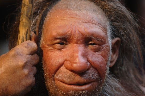 Cụ thể, những bộ hài cốt thuộc về người Neanderthal được tìm thấy trong hang động hé lộ những bí mật khó tin.