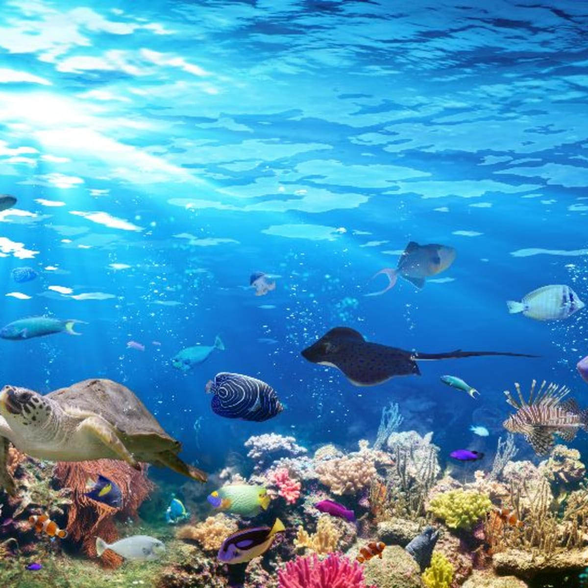 Vì vậy, giả thuyết cho rằng, Quacker có nguồn gốc từ tàu ngầm bị giới khoa học loại bỏ.