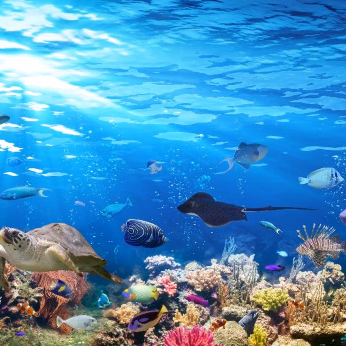 Vì vậy, giả thuyết cho rằng, Quacker có nguồn gốc từ tàu ngầm bị giới khoa học loại bỏ.