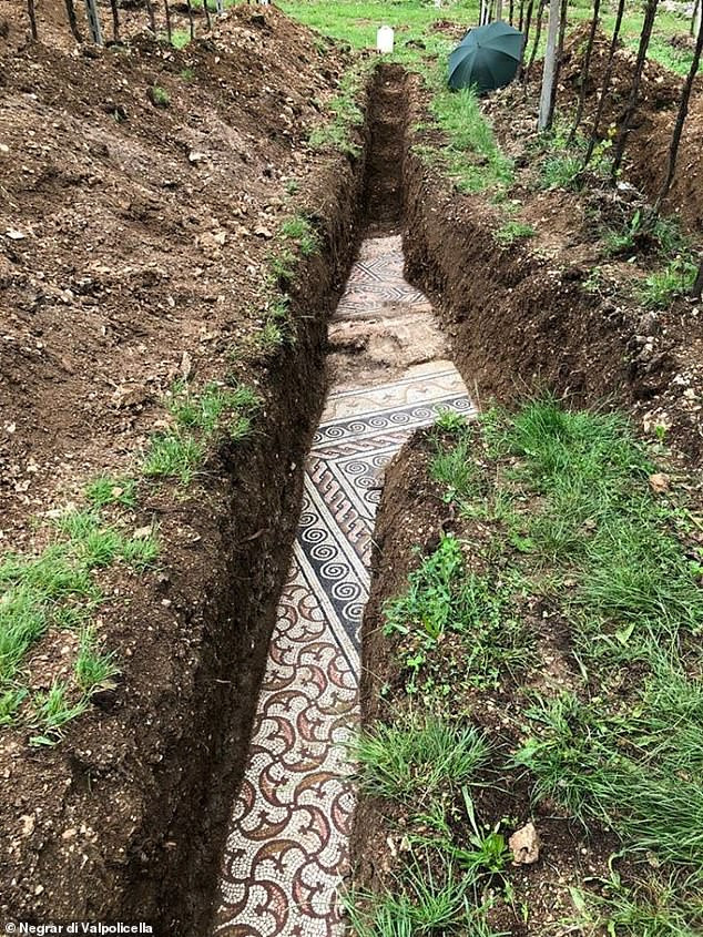 Theo các nhà khảo cổ, những viên gạch khảm nhiều màu rực rỡ được bảo quản một cách hoàn hảo đến khó tin. Sàn khảm đá này là phần nền của biệt thự La Mã cổ đại. Các nhà khảo cổ lần đầu phát hiện dấu vết của biệt thự này vào năm 1922.