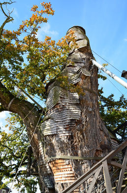 Về sau, người ta tiếp tục xây thêm một nhà nguyện nhỏ khác và cầu thang xoắn ốc bên ngoài cây sồi cổ kính. Hai nhà nguyện được đặt tên là Notre Dame de la Paix và Chambre de l'Ermite.