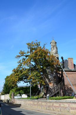 Dù hai nhà nguyện này có kích thước khá nhỏ nhưng không ít tín đồ tới đây làm lễ trong những dịp quan trọng.