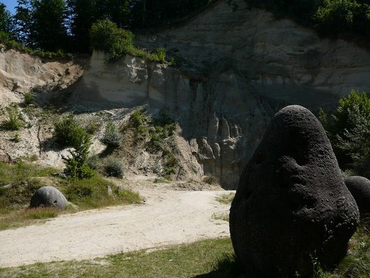 Những tảng đá Trovants có những hình thù khác nhau. Khi bị xẻ đôi, các chuyên gia nhận thấy đá Trovants có nhiều đường vân vòng hình tròn như vân gỗ.