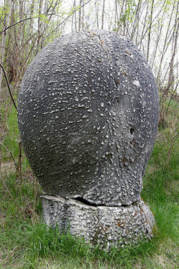 Vì vậy, sau mỗi trận mưa, kích thước của những tảng đá Trovants to hơn so với kích thước ban đầu.