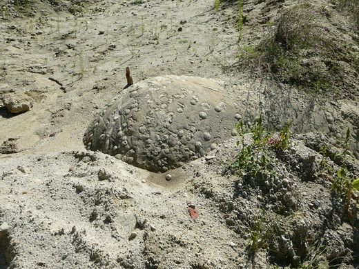 Theo các chuyên gia, những hòn đá đá Trovants được hình thành từ các trận động đất và hoạt động địa chất từ hàng triệu năm trước.