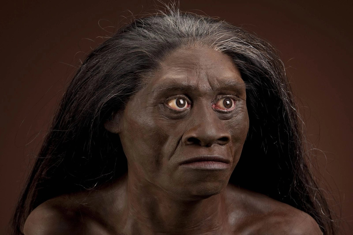 Với việc tìm ra hài cốt của người tí hon Homo Floresiensis, nhiều người tò mò nguồn gốc của họ.