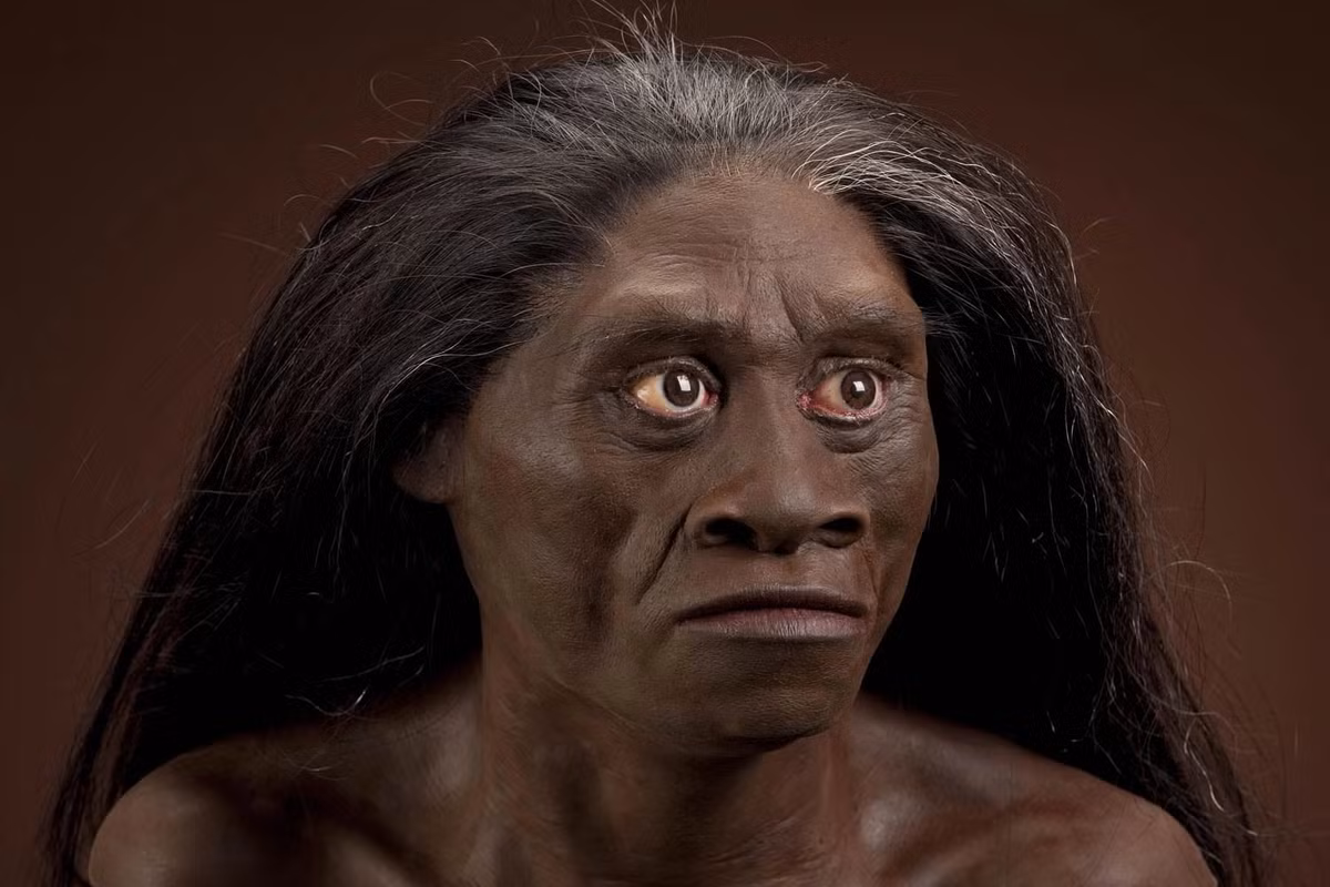 Với việc tìm ra hài cốt của người tí hon Homo Floresiensis, nhiều người tò mò nguồn gốc của họ.