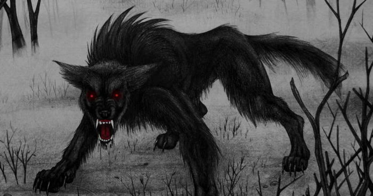 Chính vì vậy, Black Shuck còn được cho là "sứ giả của thần chết" khi có khả năng dự báo số phận của một người.