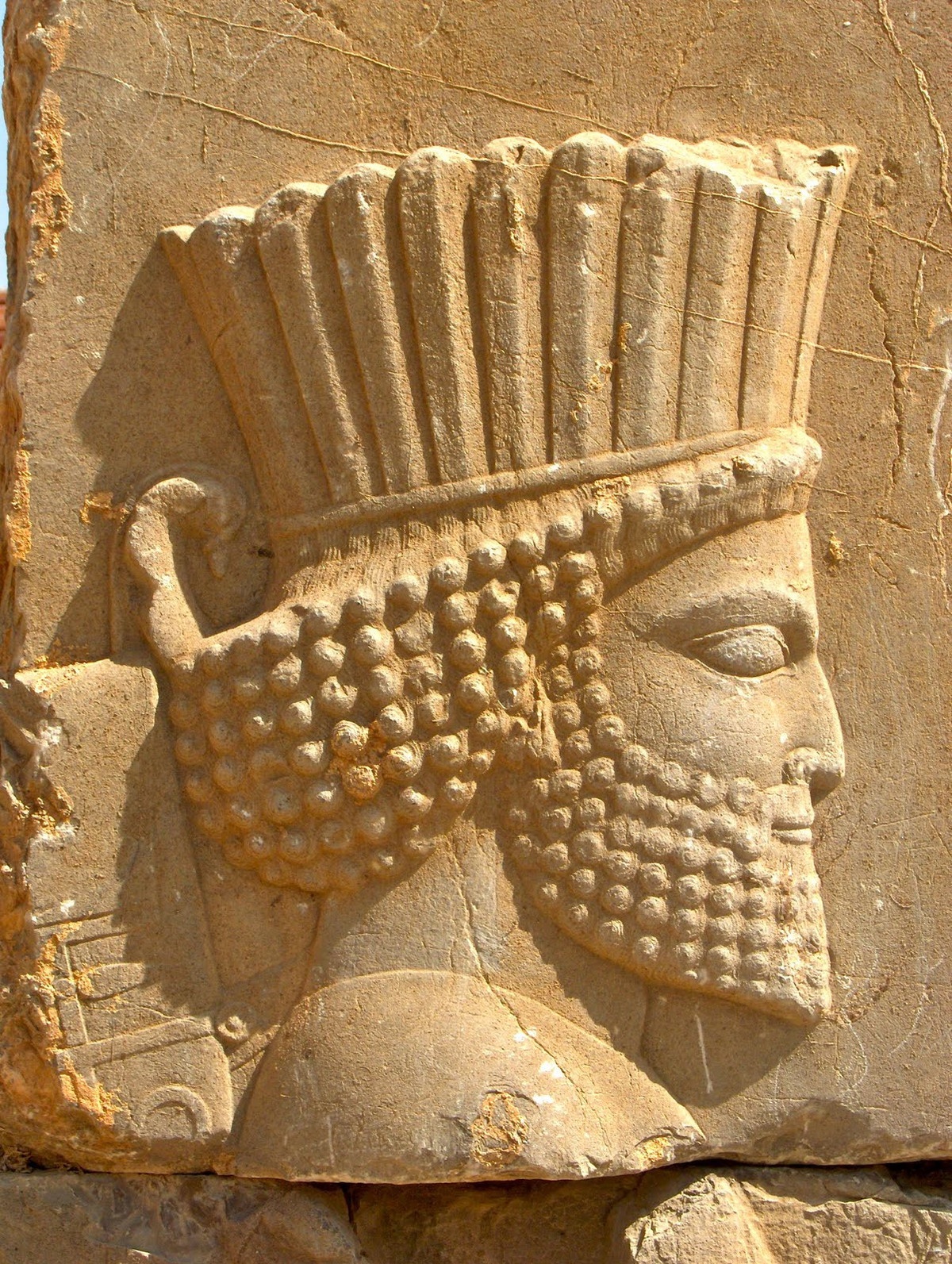 Với sự ủng hộ của một số quý tộc Ba Tư, pháp sư làm việc cho hoàng gia thừa nhận rằng Darius I nói sự thật.