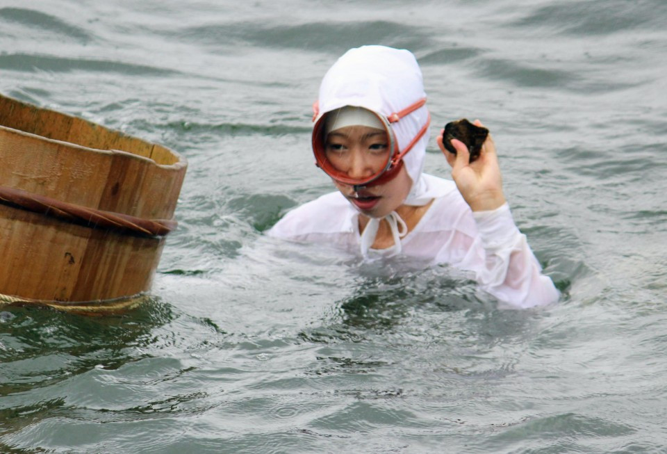 Những thợ lặn Ama đều là phụ nự gan dạ. Họ có thể lặn sâu tới 12 m trong thời tiết lạnh và nín thở trong khoảng 60 giây.