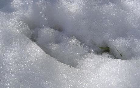 Sau khi quan sát kỹ các dấu chân bí ẩn trên, người ta nhận thấy chúng khá giống móng guốc nhọn của động vật.