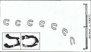 Thêm nữa, các động vật có móng guốc mà con người biết đến không thể leo trèo, di chuyển và để lại dấu chân trên mái nhà, đường ống nước, các bức tường...