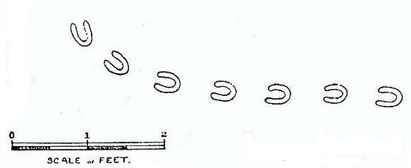 Chính vì vậy, người dân vô cùng hoang mang, lo lắng. Thậm chí, về sau, người ta còn truyền nhau lời đồn rằng đó là những "dấu chân của quỷ".