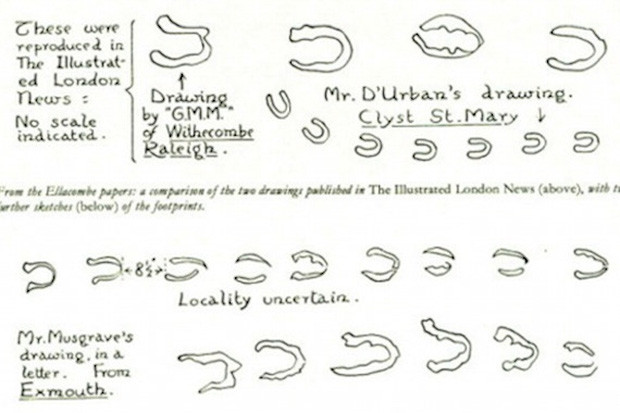 Thế nhưng, loại móng guốc này không phù hợp với bất cứ loài động vật nào từng được biết đến.