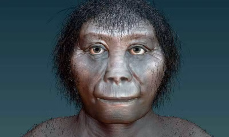 Theo các nhà nghiên cứu, người tí hon Homo Floresiensis sống trên đảo Flores cách đây khoảng 18.000 năm.