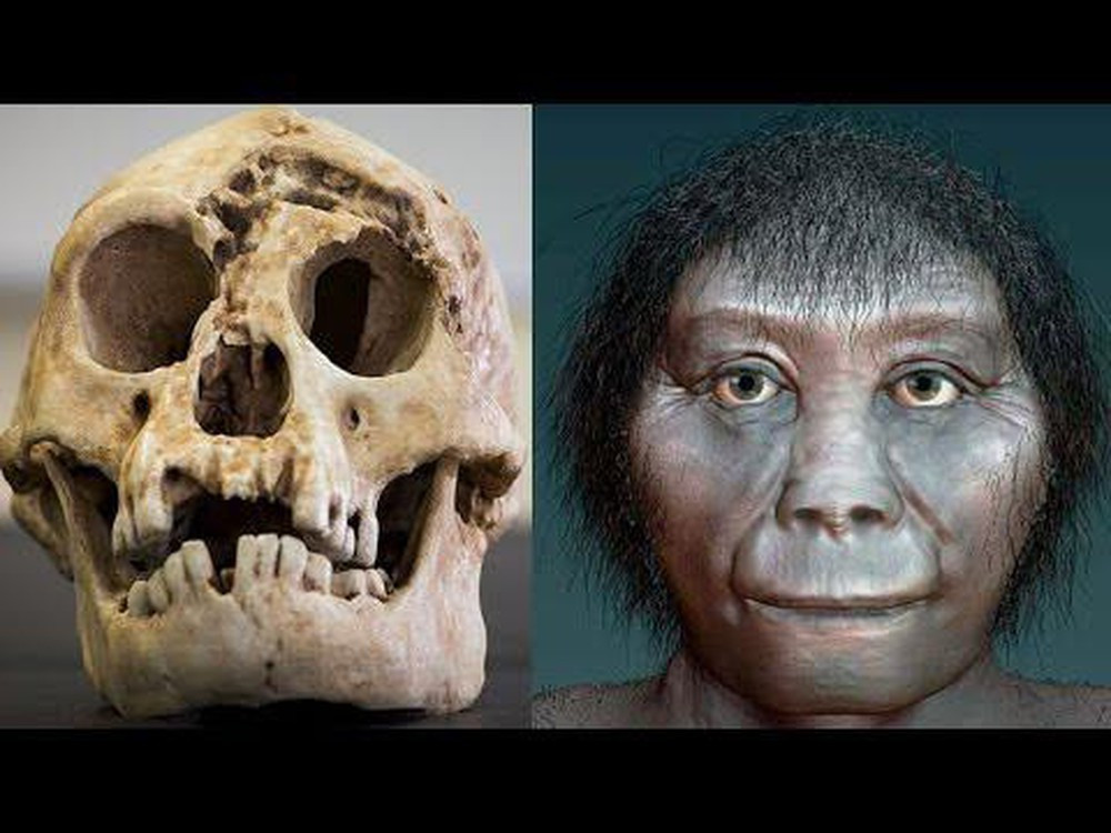 Khi trưởng thành, người Homo Floresiensis trung bình chỉ cao 1,06 m và nặng 16 kg.