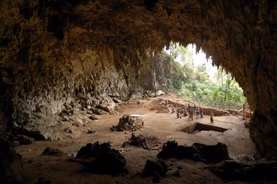 Lý do khiến người Homo Floresiensis có vóc dáng thấp bé được suy đoán là do họ sống cô lập trên đảo trong hàng vạn năm khiến cơ thể bị lùn đi. Mời độc giả xem video: Nghị lực của "thầy giáo tí hon". Nguồn: VTC14.
