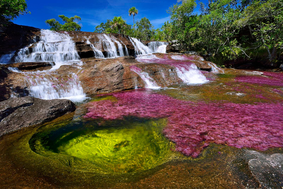 Do nằm ở khu vực hẻo lánh nên dòng sông Cano Cristales giữ được vẻ đẹp nguyên sơ và thơ mộng do thiên nhiên ban tặng. Thời điểm lý tưởng nhất để chiêm ngưỡng vẻ đẹp tuyệt mỹ tựa chốn thiên đường của "dòng sông ngũ sắc" Cano Cristales là mùa Hè.