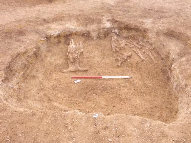 Trong ngôi mộ của tù trưởng, các nhà khảo cổ còn tìm thấy 4 tấm thảm da bò, dao găm bằng đồng, núm chuôi kiếm bằng xương cá voi, tấm bảo vệ cổ tay khi bắn cung, đá xanh mài nhẵn và bộ đánh lửa.