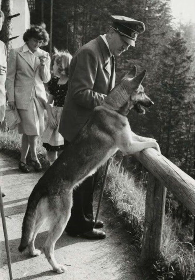 Thông qua khóa huấn luyện đặc biệt trên, con chó Blondi càng được Hitler yêu chiều hơn.