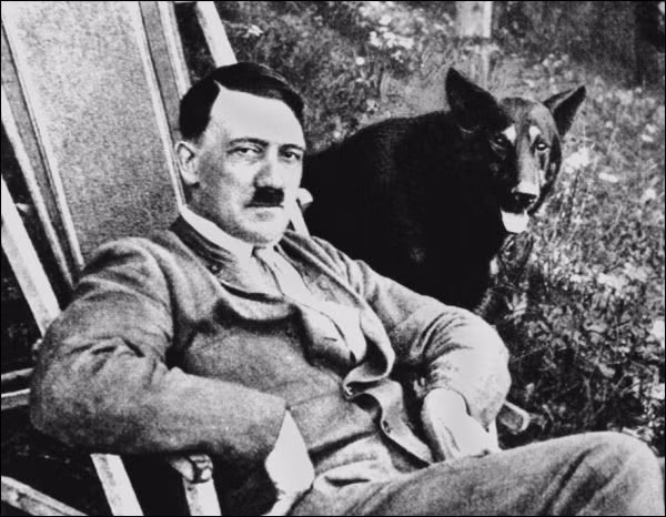 Theo đó, Hitler được bộ máy tuyên truyền của phát xít Đức ca ngợi là người yêu động vật.