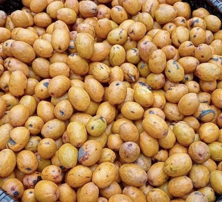 Trái cọ sau khi được làm sạch vỏ có màu xám trắng, nhìn khá bắt mắt.