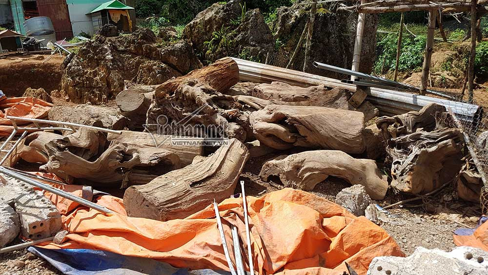 Gỗ được tìm thấy rất nhiều trong nhà của Tuân
