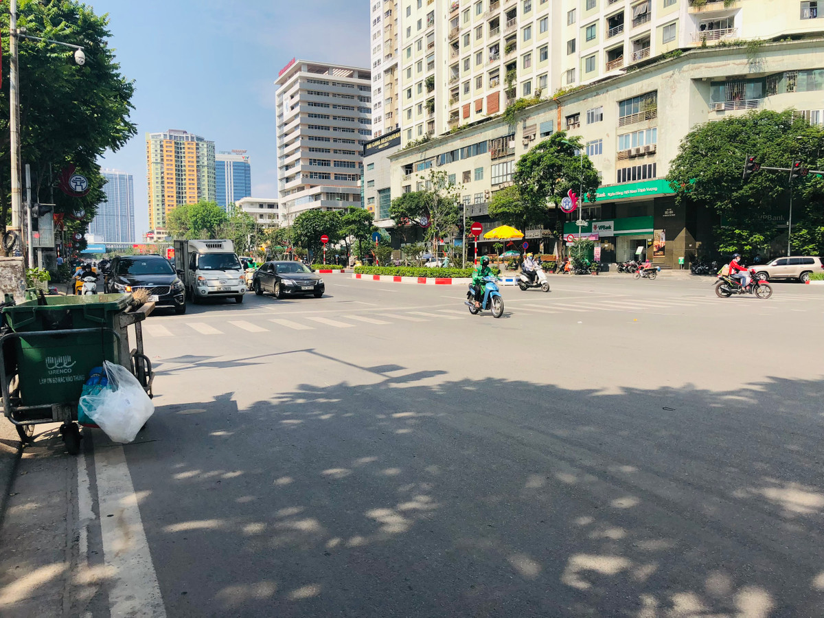 Những chiếc xe ô tô đang dừng chờ đèn đỏ tại ngã tư dưới một bóng cây bên đường.