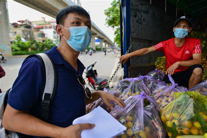 Giải cứu vải thiều Bắc Giang với giá 20.000 đồng/kg ở Hà Nội - Hình 8 Giai cuu vai thieu Bac Giang voi gia 20.000 dong/kg o Ha Noi-Hinh-8