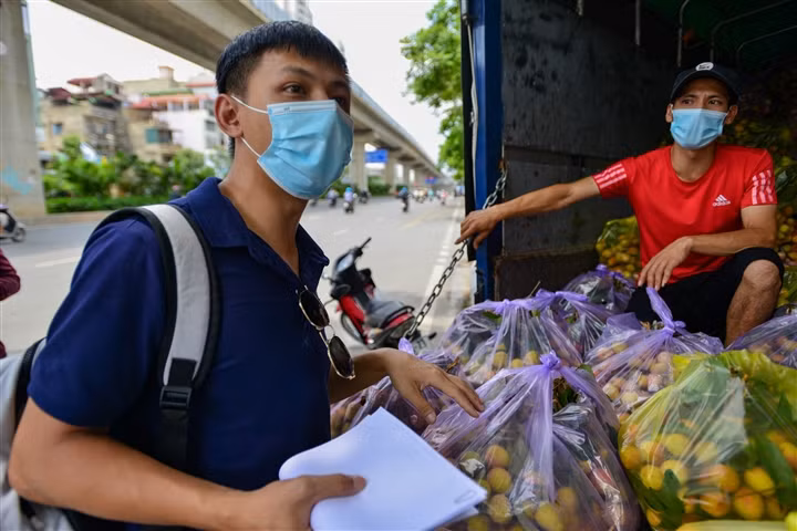 Giải cứu vải thiều Bắc Giang với giá 20.000 đồng/kg ở Hà Nội - Hình 8 Giai cuu vai thieu Bac Giang voi gia 20.000 dong/kg o Ha Noi-Hinh-8
