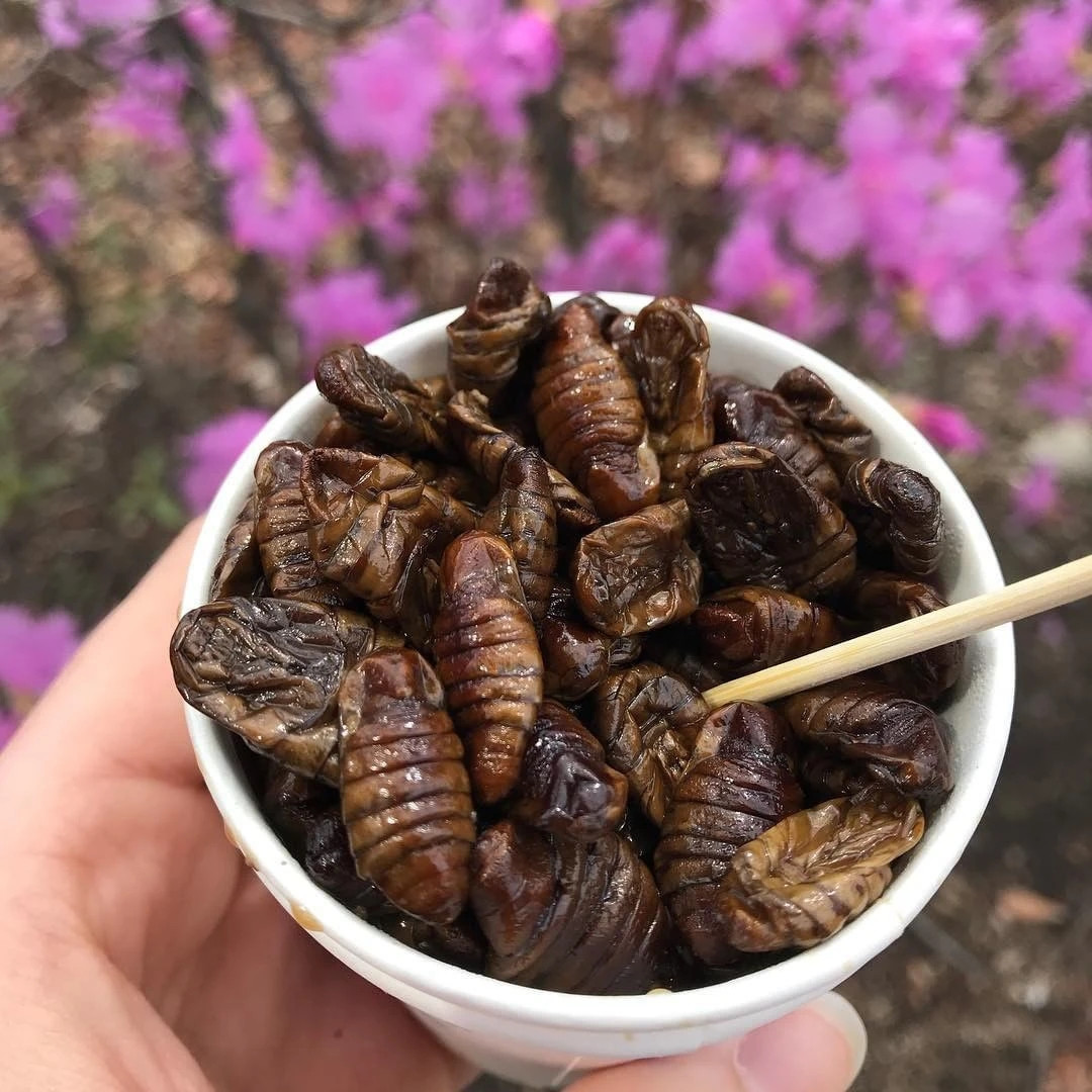 Món này thường được dùng kèm với soju (rượu truyền thống Hàn Quốc) hoặc bia như một món ăn nhắm, đặc biệt vào mùa xuân và mùa hè.