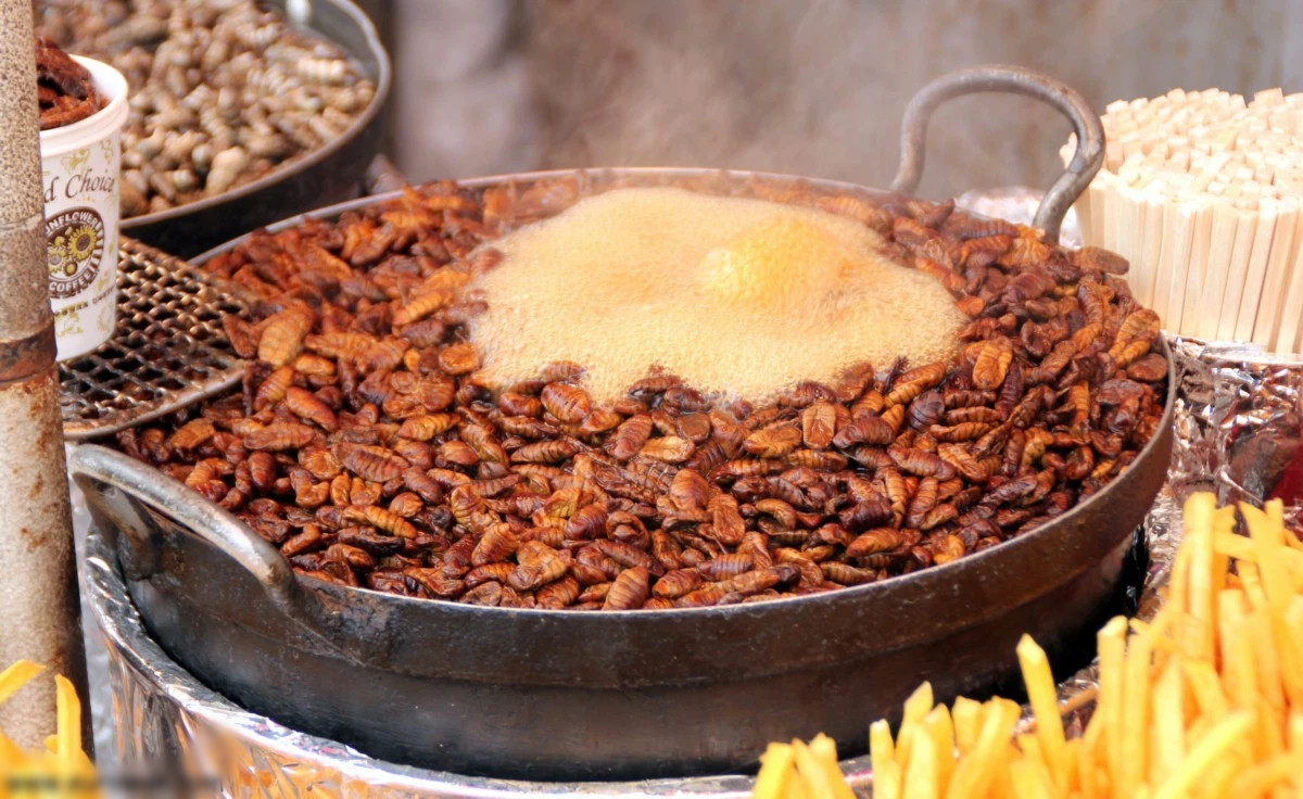 Beondegi được coi là một món ăn phổ biến trong ẩm thực đường phố Hàn Quốc và thường được bày bán trong các gian hàng bên lề đường, gần ga tàu hoặc trên các xe buýt.