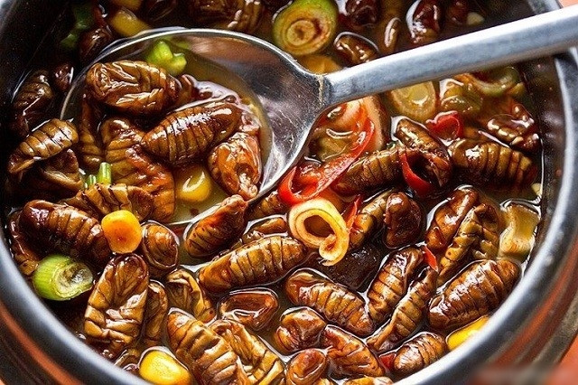 Khi ăn Beondegi, người ta thường dùng một que tre hoặc nhíp để nhặt từng con sâu tằm và thưởng thức như một món ăn vặt.