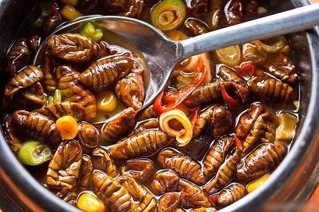 Khi ăn Beondegi, người ta thường dùng một que tre hoặc nhíp để nhặt từng con sâu tằm và thưởng thức như một món ăn vặt.