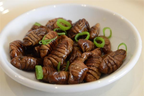 Beondegi là một món ăn kinh dị và độc đáo của Hàn Quốc. Nó được làm từ những con sâu tằm có tên khoa học là "bombyx mori". (Nguồn ảnh: TFD, minh họa)