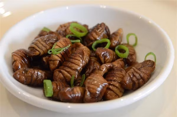 Beondegi là một món ăn kinh dị và độc đáo của Hàn Quốc. Nó được làm từ những con sâu tằm có tên khoa học là "bombyx mori". (Nguồn ảnh: TFD, minh họa)