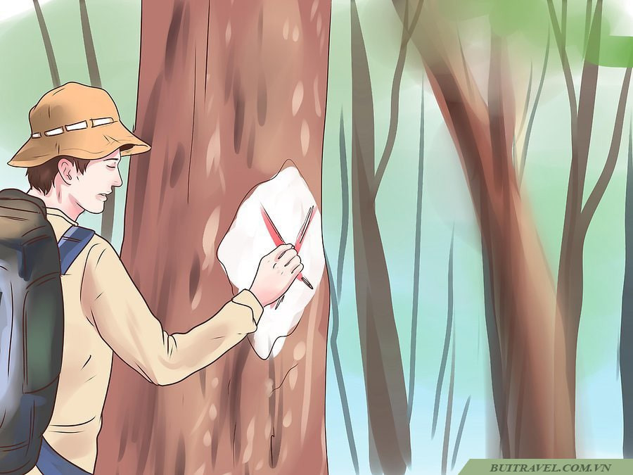 Bạn có thể đi xung quanh gần đó để tìm hiểu về khu vực mình đang đứng và nên đánh dấu những chỗ mình vừa bước qua bằng một ký hiệu nào đó. Đây cũng là kỹ năng sinh tồn khi bị lạc bạn cần phải nắm vững.