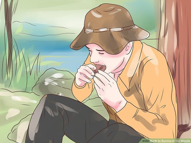 Nếu bạn ở gần nước, cá là một lựa chọn tốt. Tránh ăn bất kỳ loại nấm hoặc quả mà bạn nhìn thấy, cho dù đói đến đâu. Nhiều loại quả trong rừng có độc, đặc biệt là những quả màu trắng.