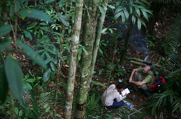 Sau khi nỗi sợ qua đi, bạn có thể xem xét để tìm ra hướng giải quyết tốt nhất cho mình. Hãy thực hiện theo các nguyên tắc của STOP: ngồi xuống, suy nghĩ, quan sát xung quanh, chuẩn bị để tìm hướng. Đây là kỹ năng cần thiết khi bị lạc.